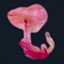Adore