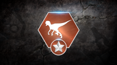 Pack Hunter