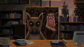Cats and Dogs