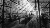 The Greenhouse