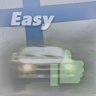 RALLY CHAMPION