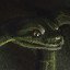 Snake handler