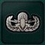 Ordinance Badge