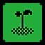 Green Successor