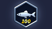 I’m Hooked!