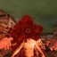 First human kill