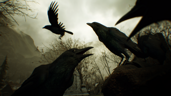 Squawk Shot