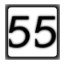 Level 55