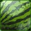 Is that a watermelon?