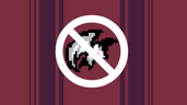 Bat Exterminator