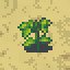 Humble Origins
