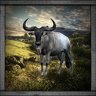 Wildebeest Hunter