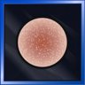 Red Dwarf Explorer