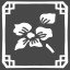 The flowering season