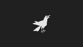 Birder
