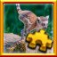 Lemur Complete!