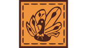 Pattern Collector: The Cliffs