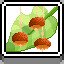 Conkers