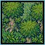 Lost in the Forest