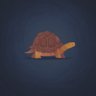 Kassiopeia the Tortoise