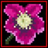 Hellebore