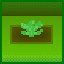 Green Thumb