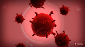 Virus Master