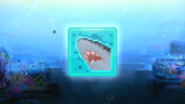 Angry Shark!