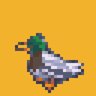 Duck Found