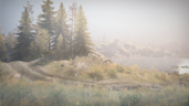 The Expedition