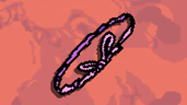 Magic Ring