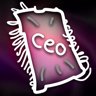 CEO Message Translated