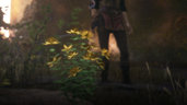 Herbalist
