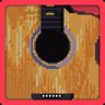 Guitarist