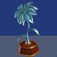 Silver Lily