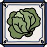 The cabbages