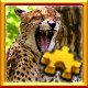 Cheetah Complete!