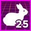 Rabbit Rabbit Rabbit Rabbit
