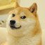 Doge 2