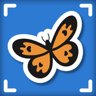 Flutter By, Butterfly