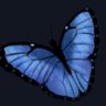 You give me butterflies!