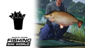 Gigantica Carp Stockpile