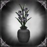 Plant Lover