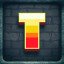 Level T