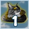 Paws of Awakening