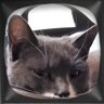 I found a bug