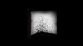 Dust and ashes