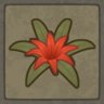 Herbalist