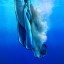 Pearl Diver