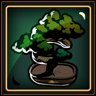 Bonsai Bliss